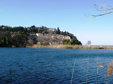 Lavanda Fiesa * Pirano