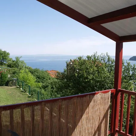 Lavanda Fiesa * Pirano