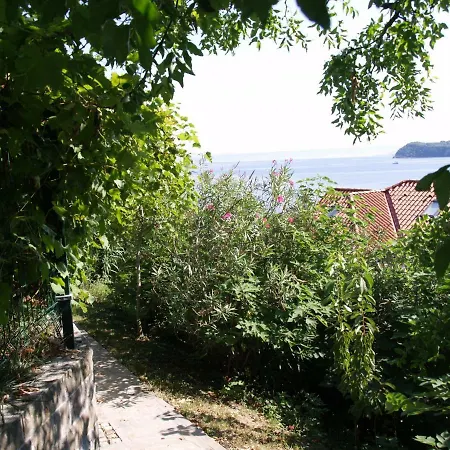 Lavanda Fiesa * Piran