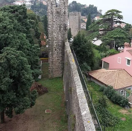 Lavanda Fiesa Διαμέρισμα